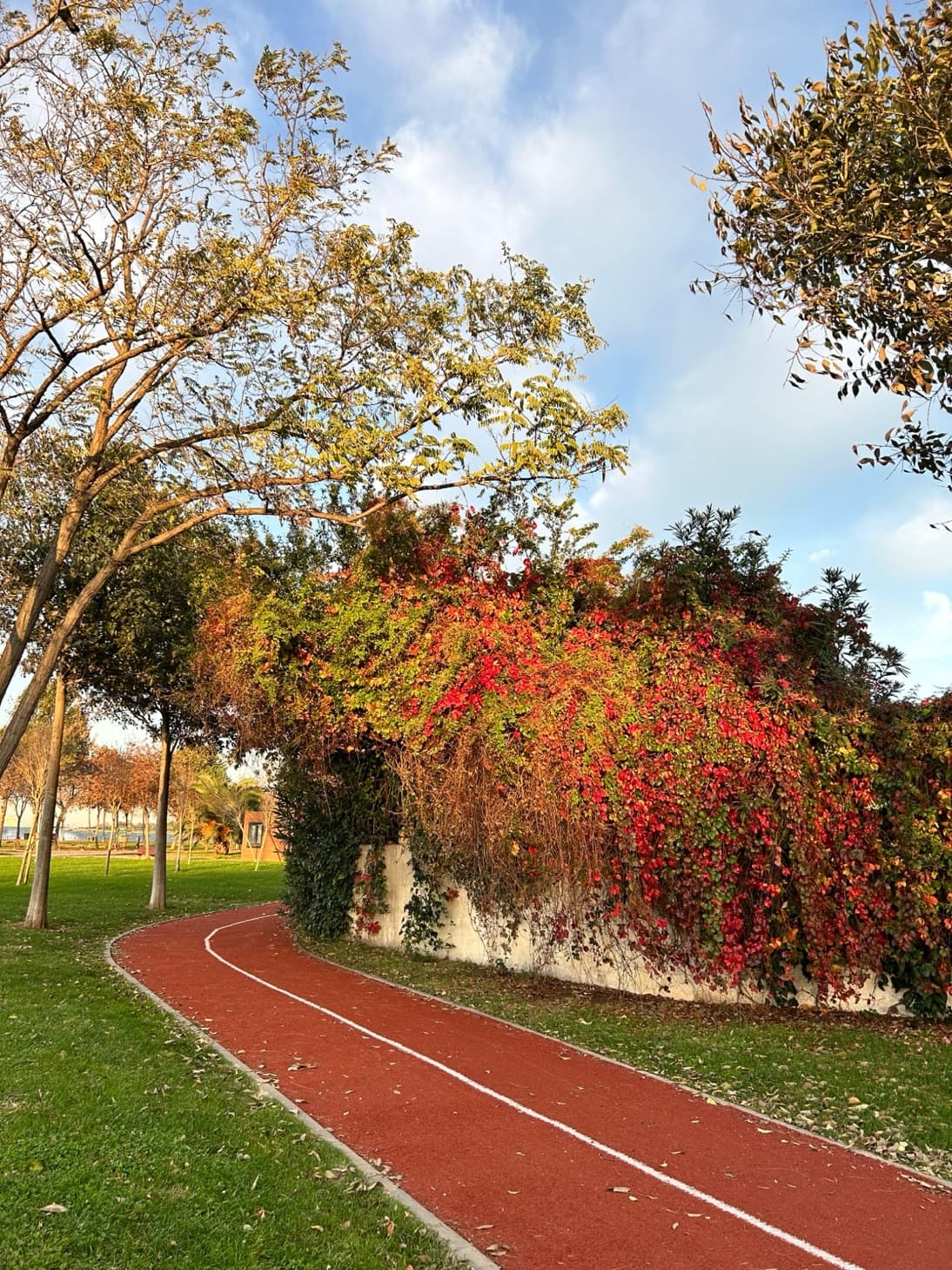 A red running track curves away past a wall covered in autumn leaves, under an open sky.